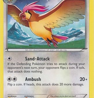 Pidgeotto (23 30) [XY: Trainer Kit 1 - Wigglytuff] Cheap